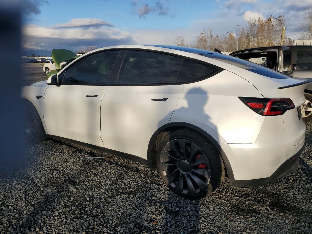 Lot #2996362377 2020 TESLA MODEL Y