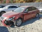 2015 NISSAN ALTIMA 2.5 - 1N4AL3AP5FC594512