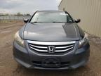 Lot #3024313006 2011 HONDA ACCORD EXL