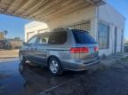 HONDA ODYSSEY EX снимка