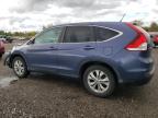 HONDA CR-V EX photo