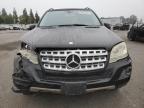 MERCEDES-BENZ ML 350 photo