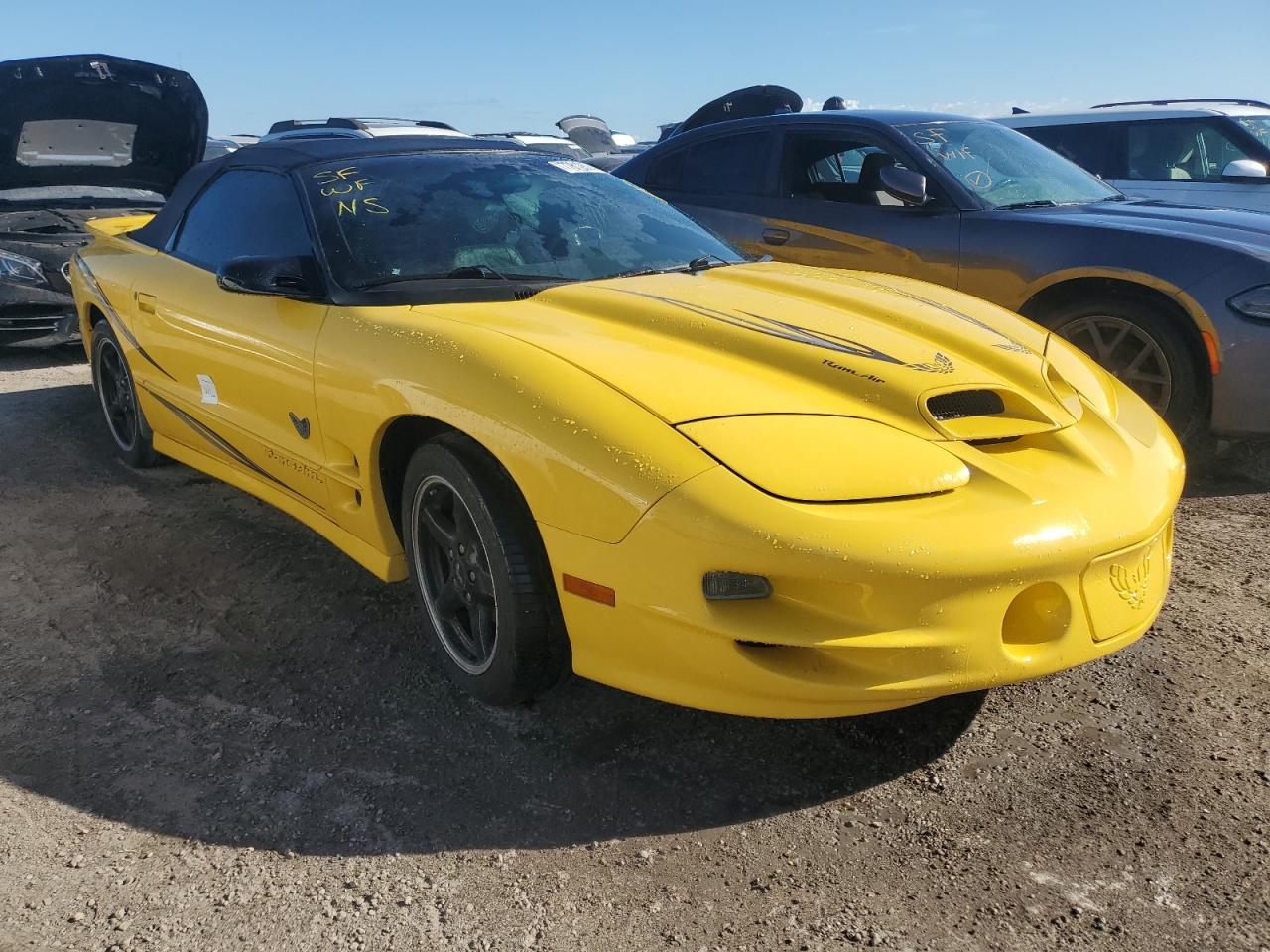 Lot #2933454881 2002 PONTIAC FIREBIRD T