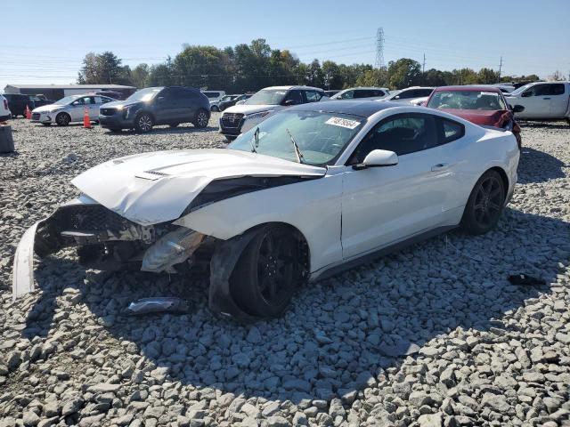 VIN 1FA6P8TH9K5191306 2019 Ford Mustang no.1