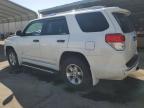 TOYOTA 4RUNNER SR photo