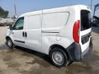 RAM PROMASTER снимка