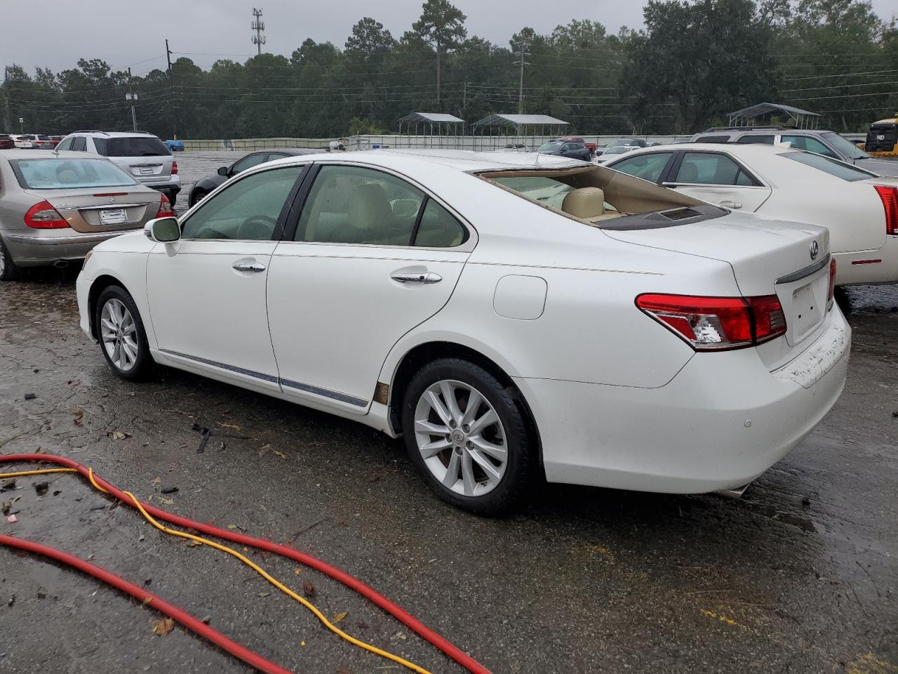 Lot #2991672217 2012 LEXUS ES 350