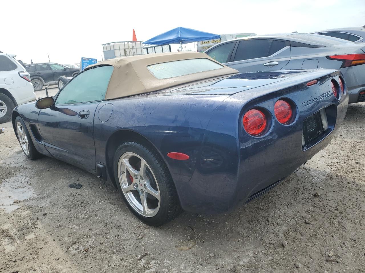 CHEVROLET CORVETTE 2001 blue  gas 1G1YY32GX15122160 photo #3