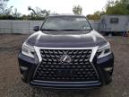 LEXUS GX 460 PRE photo