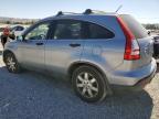 HONDA CR-V EX photo