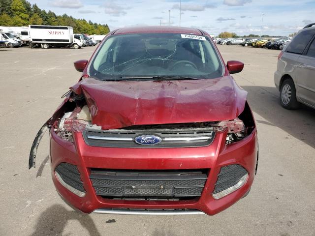 VIN 1FMCU0G93EUE52493 2014 Ford Escape, SE no.5