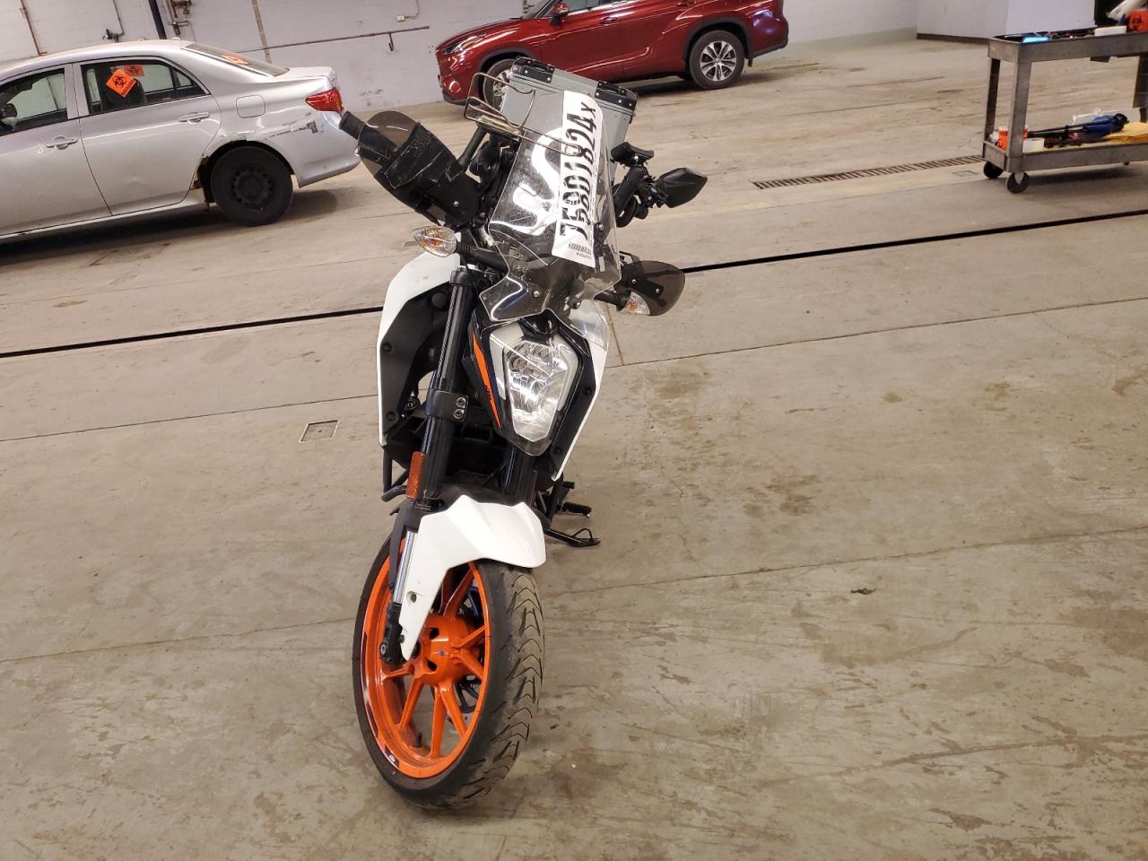 Global Auto Auctions