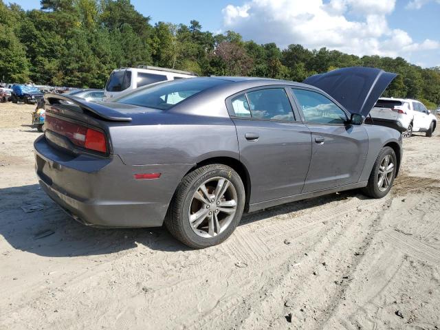 VIN 2C3CDXJG5EH100768 2014 Dodge Charger, Sxt no.3