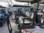 Lot #3025203685 2023 BINT GOLFCART