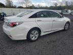 Lot #3304005655 2014 HYUNDAI SONATA HYB