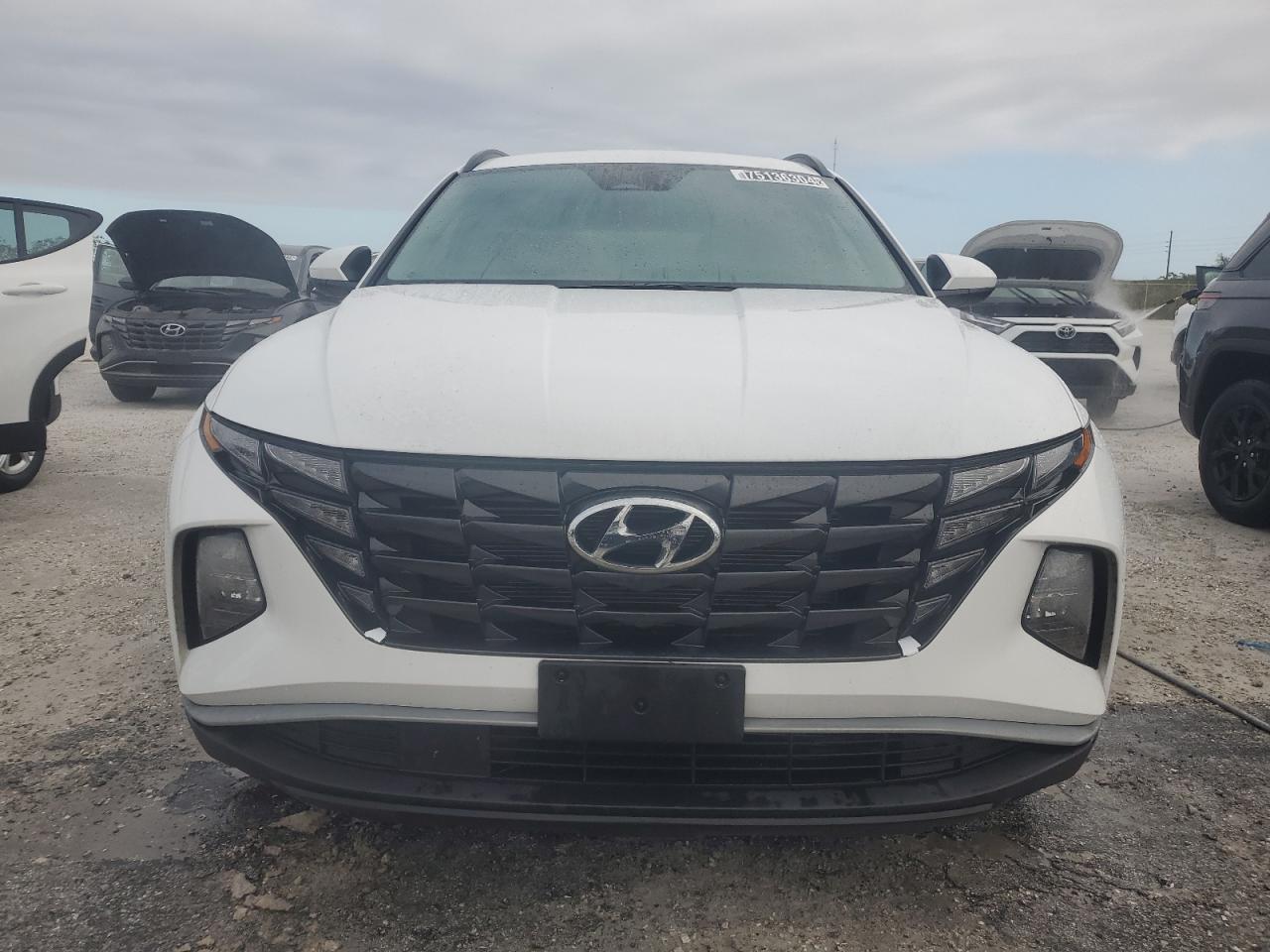 Lot #2969095375 2024 HYUNDAI TUCSON SEL