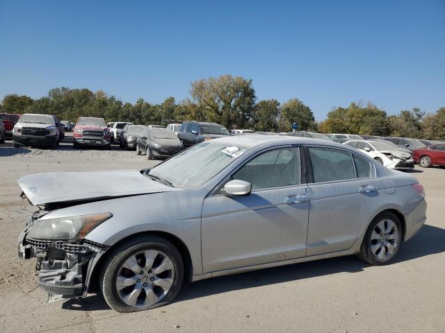 HONDA ACCORD EXL 2010 silver  gas 1HGCP3F84AA003617 photo #1