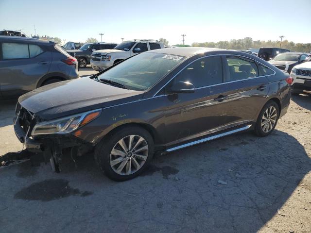 2016 HYUNDAI SONATA SPO - 5NPE34AF6GH332304