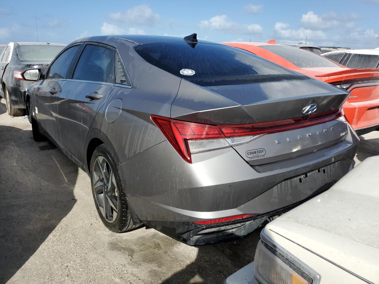 Lot #2979336869 2022 HYUNDAI ELANTRA LI