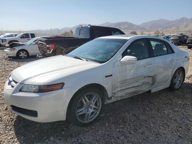 ACURA TL 2007 white  gas 19UUA66217A003151 photo #1