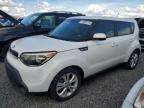 KIA SOUL + photo