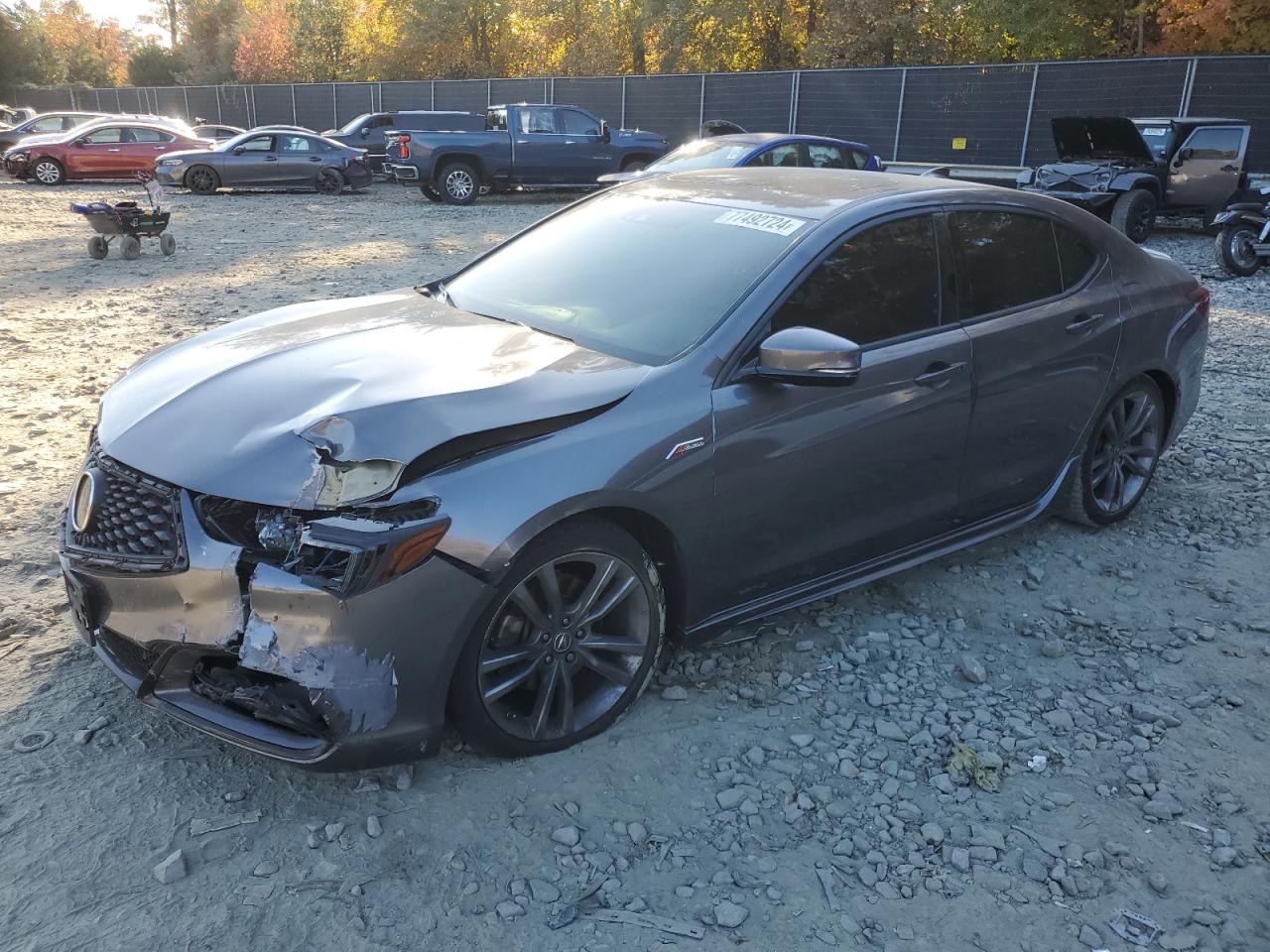 Lot #2994302066 2019 ACURA TLX TECHNO