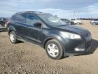 FORD ESCAPE SE photo