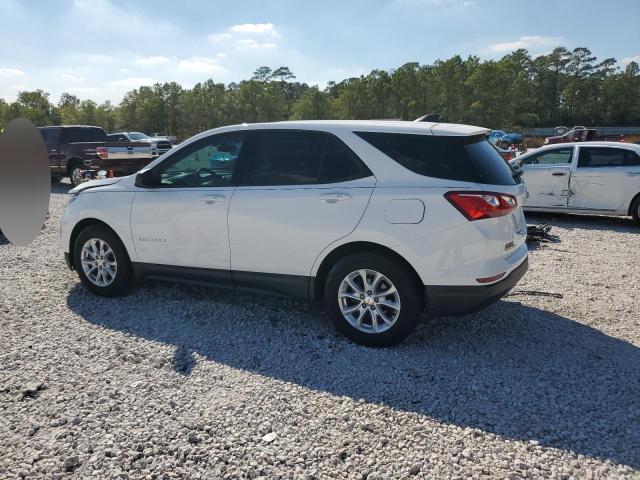 2019 CHEVROLET EQUINOX LS - 2GNAXHEV8K6160132