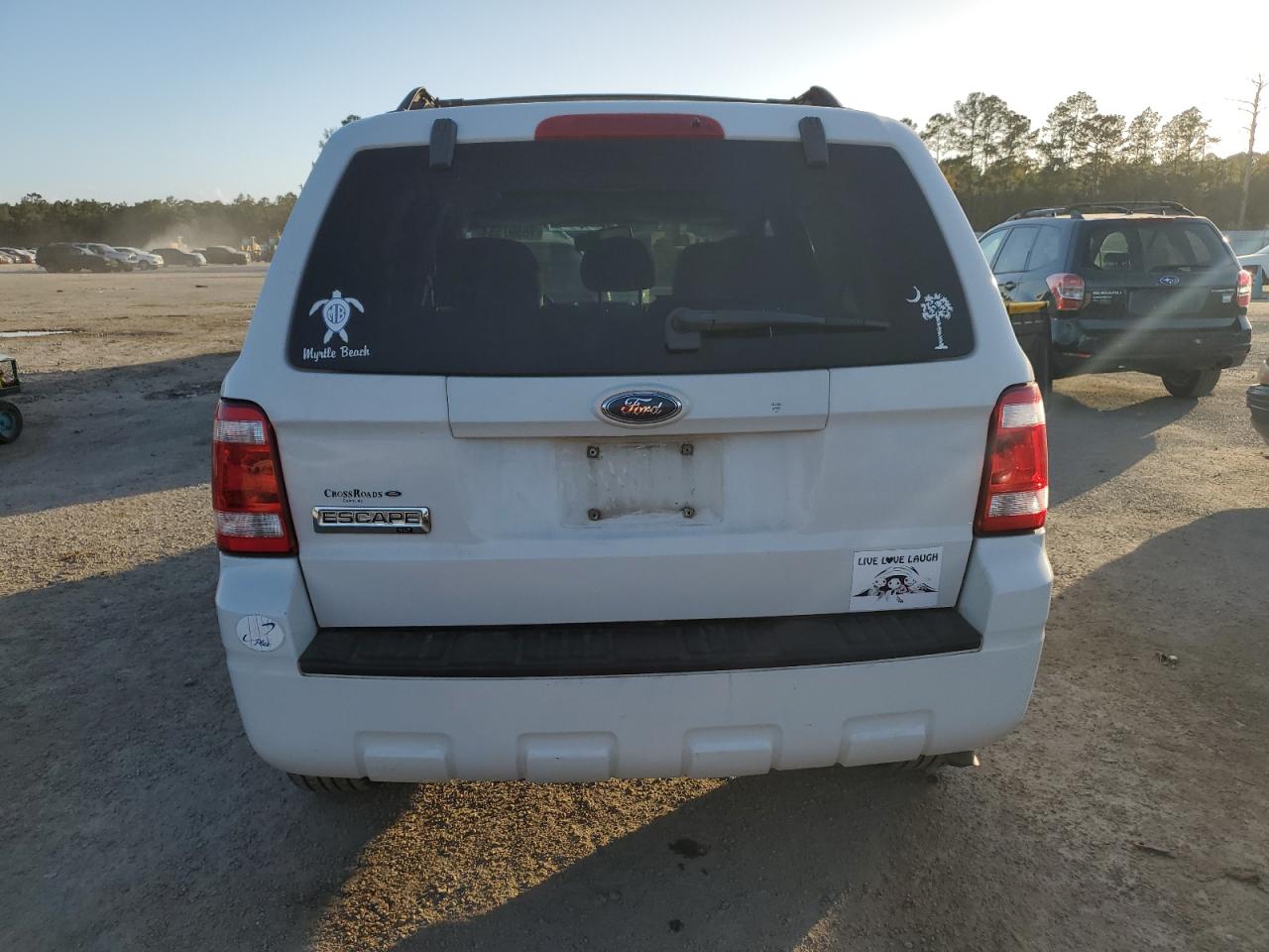 Lot #2991526860 2009 FORD ESCAPE XLT