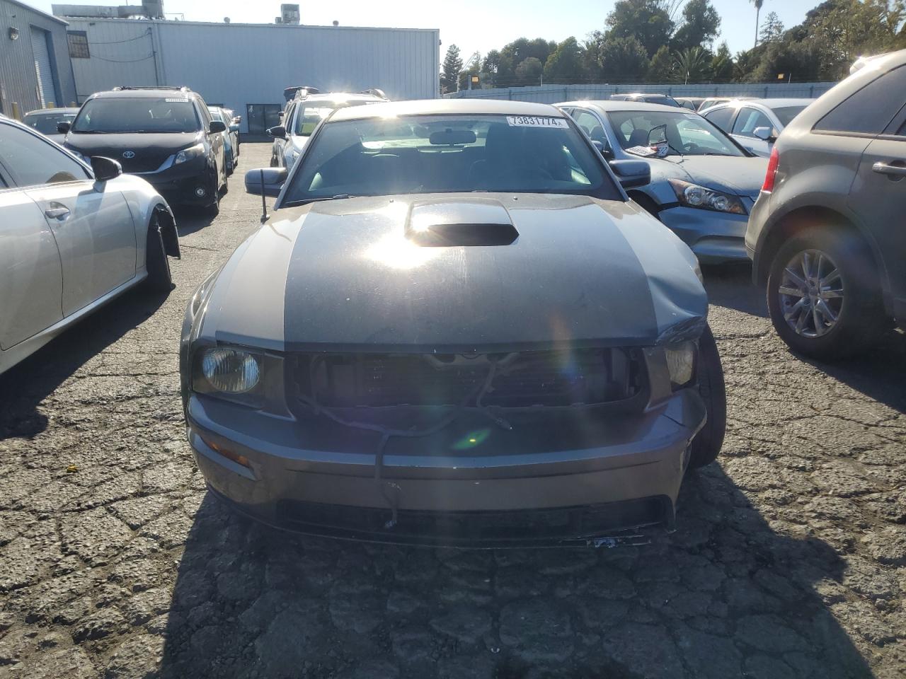 Lot #3028246797 2005 FORD MUSTANG