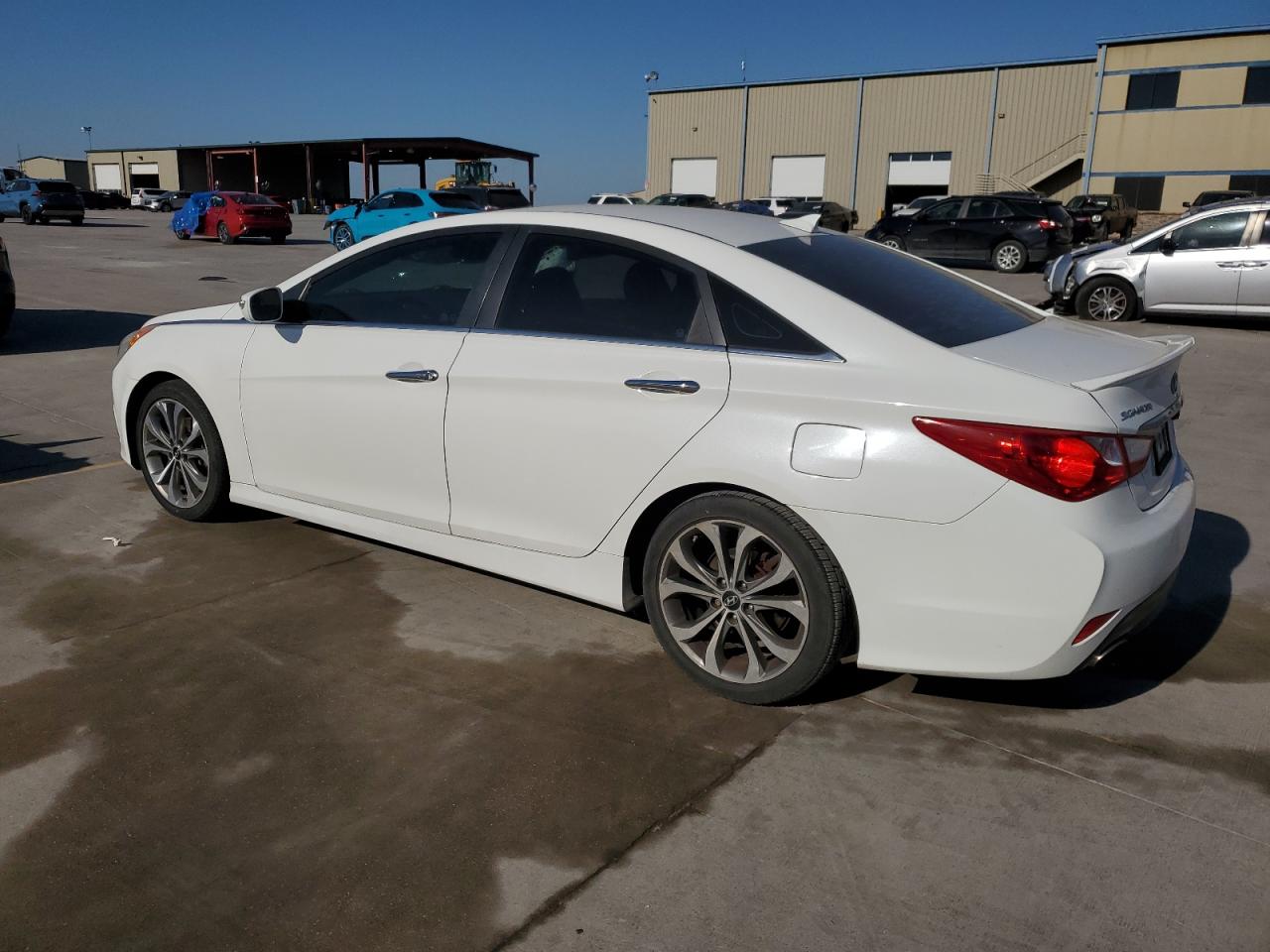 Lot #2970024884 2014 HYUNDAI SONATA SE