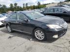 LEXUS ES 350 photo