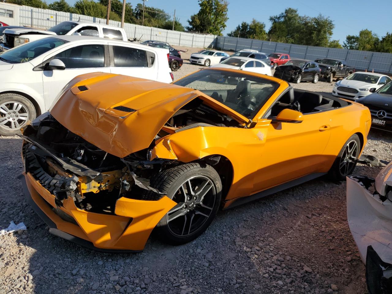 Lot #2891036245 2019 FORD MUSTANG