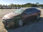 2015 TOYOTA AVALON XLE - 4T1BK1EB3FU138731