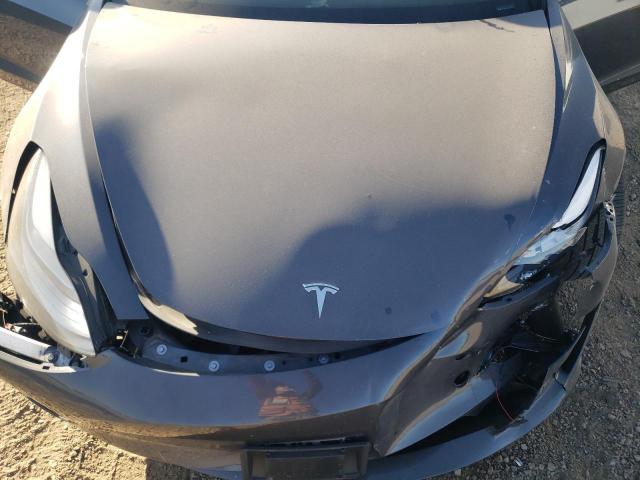 2023 TESLA MODEL 3 - 5YJ3E1EBXPF631879
