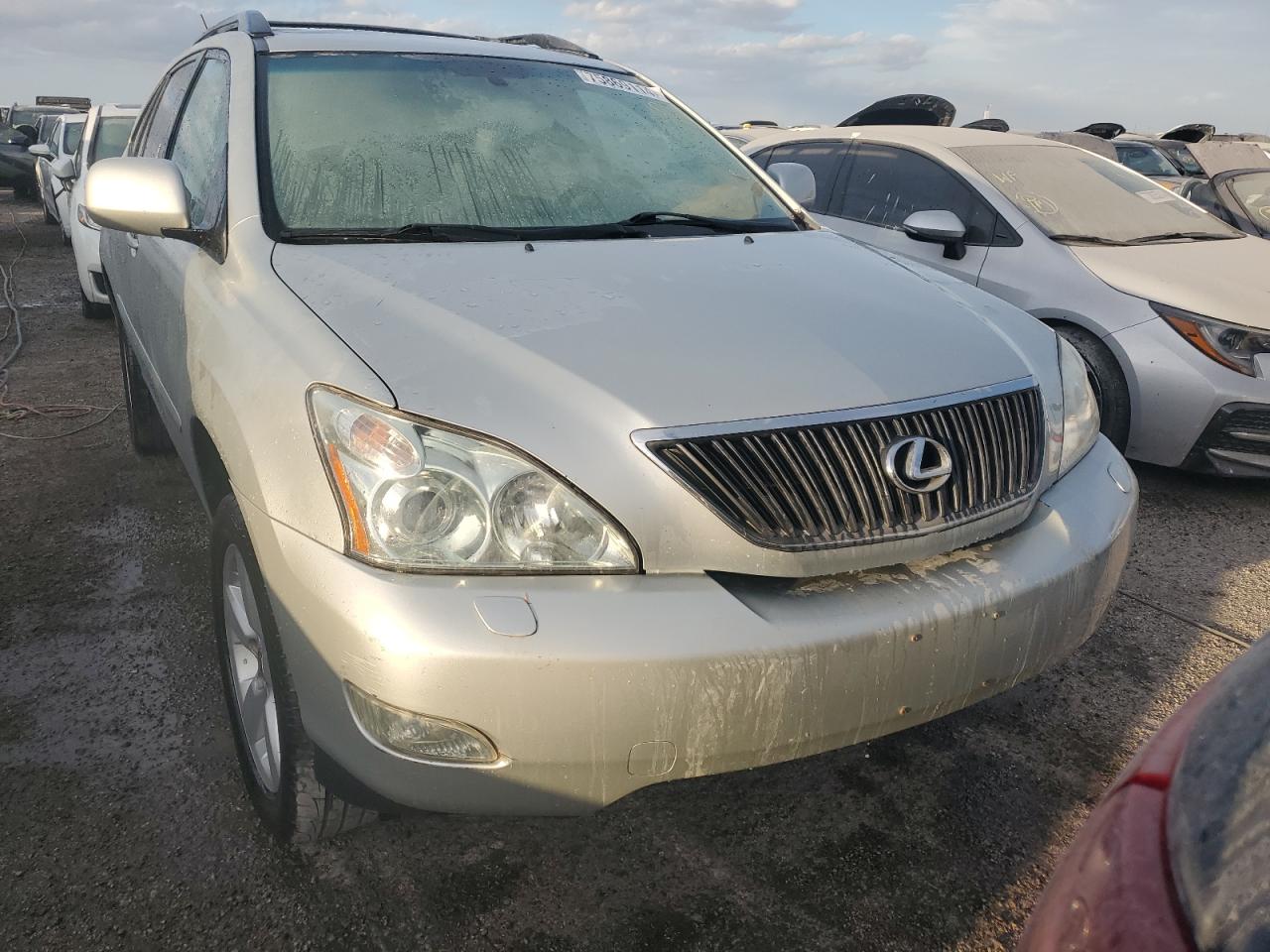 Lot #2972323524 2004 LEXUS RX 330