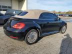 VOLKSWAGEN BEETLE photo