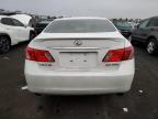 Lot #3006905597 2009 LEXUS ES 350