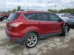 Lot #3023724893 2013 FORD ESCAPE TIT