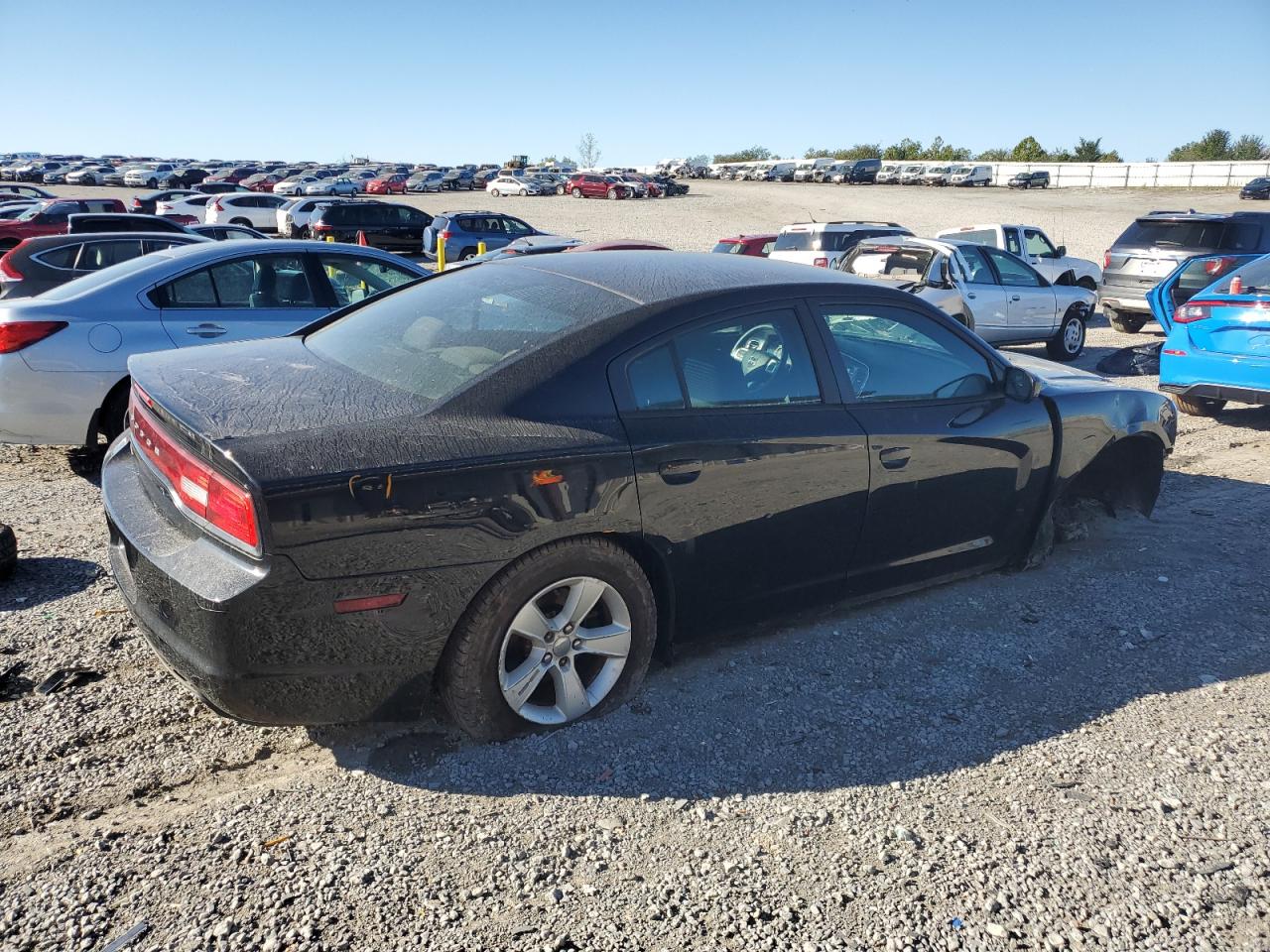 Lot #2996489804 2013 DODGE CHARGER SE