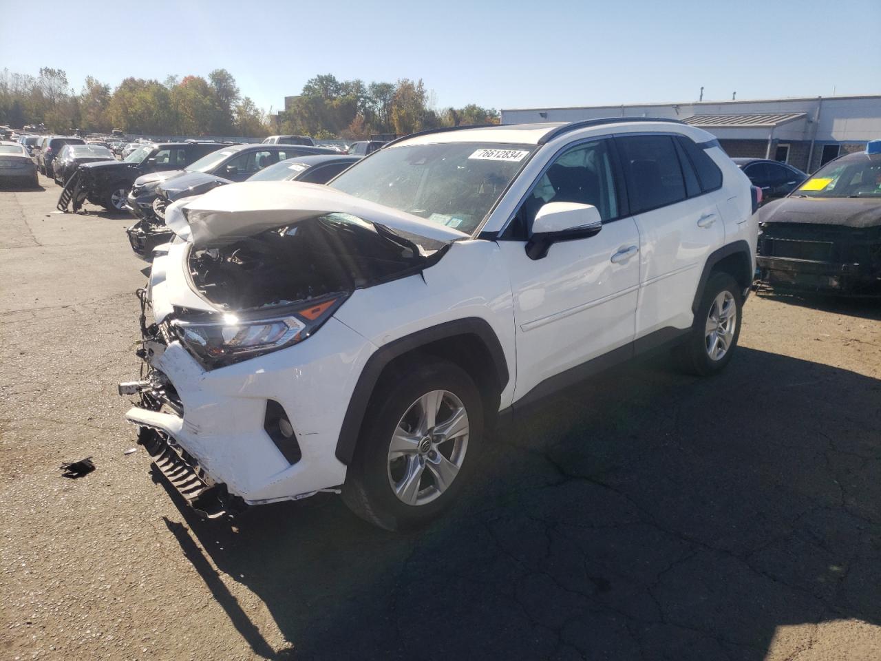 Lot #2990796321 2021 TOYOTA RAV4 XLE