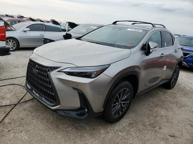 2025 LEXUS NX 250 PRE #3027014869