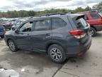 SUBARU FORESTER P photo