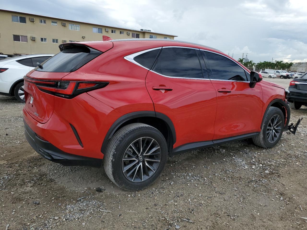 Lot #2990586681 2024 LEXUS NX 250 BAS