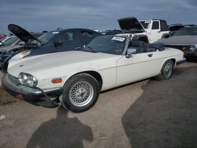 JAGUAR XJ-S 1991 white   SAJJNADW4DM175201 photo #1