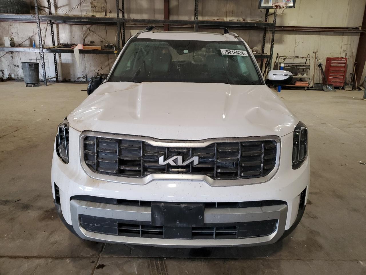 Lot #3009214434 2024 KIA TELLURIDE