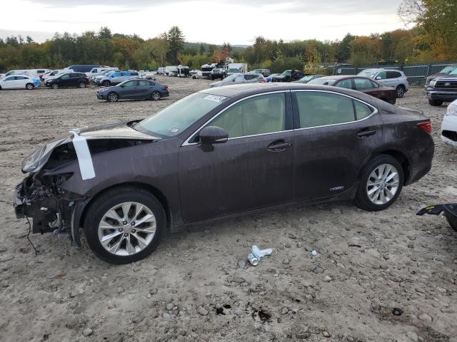 2013 LEXUS ES 300H #2928696764