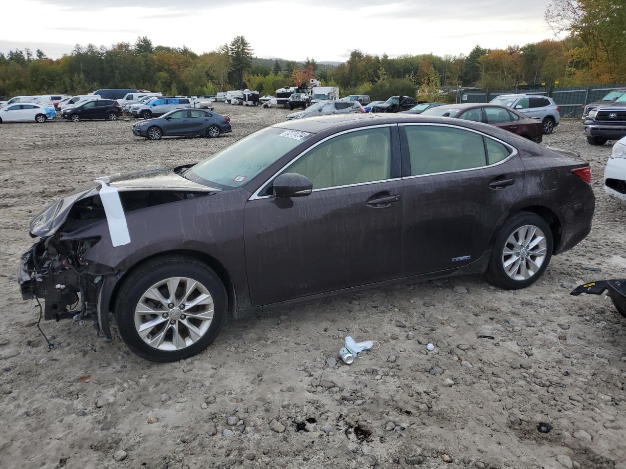 Lot #2928696764 2013 LEXUS ES 300H