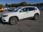2019 JEEP CHEROKEE L - 1C4PJMLB3KD484872