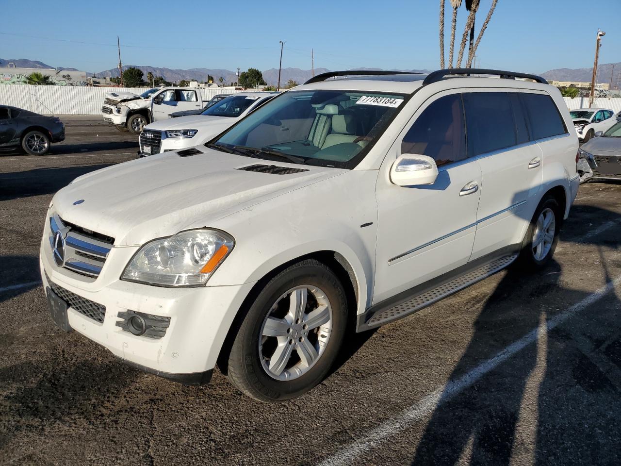 MERCEDES-BENZ GL 2009 white  diesel 4JGBF25EX9A473916 photo #1